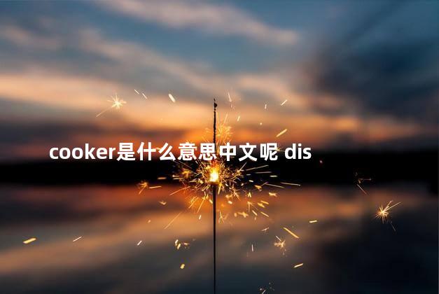 cooker是什么意思中文呢 dishes什么意思中文